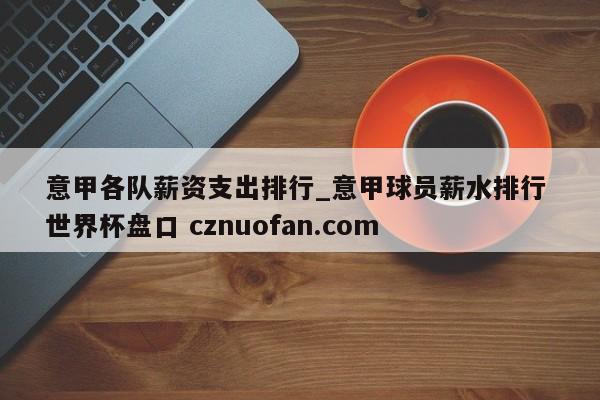 意甲各队薪资支出排行_意甲球员薪水排行 世界杯盘口 cznuofan.com