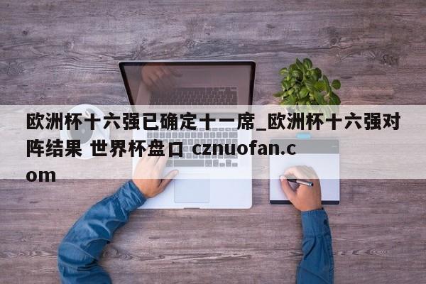 欧洲杯十六强已确定十一席_欧洲杯十六强对阵结果 世界杯盘口 cznuofan.com